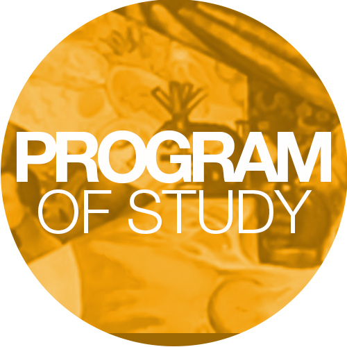 Graduate programs